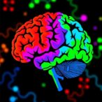 alzheimer’s-protein-patterns-differ-across-populations