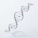 dna-origami-reveals-hidden-molecular-movements