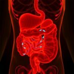 tnfr1-connects-inflammation,-fatty-acid-oxidation-failure-to-intestinal-stem-cell-aging