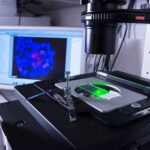 a-decade-of-advances-in-single-cell-functional-immunomics