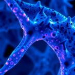 new-method-unlocks-insights-from-preserved-tissues