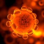 lipid-droplet-signatures-classify-liver-cancer-and-reveal-plin3-therapeutic-potential