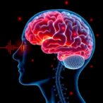 theta-stimulation-boosts-cognition-in-parkinson’s-patients-with-cognitive-impairment