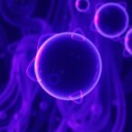 study-maps-early-follicle-oocyte-proteins-and-cisplatin-induced-changes-in-mice