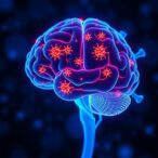pd-1-balances-brain-viral-control-and-neuroinflammation-by-regulating-t-cell-responses