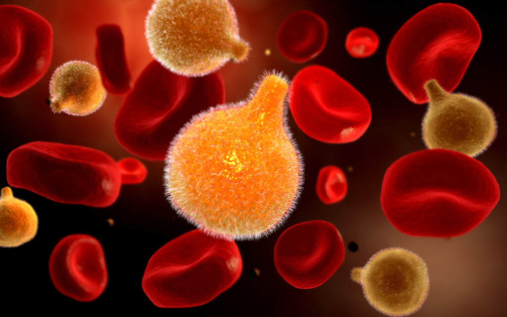 malaria-causing-plasmodium-in-uganda-show-rapid-spread-of-drug-resistance-mutations