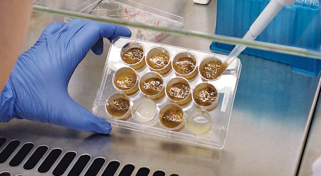 the-microbiome-field-enters-its-next-chapter