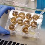 the-microbiome-field-enters-its-next-chapter
