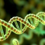 scientists-identify-crucial-steps-that-initiate-dna-replication