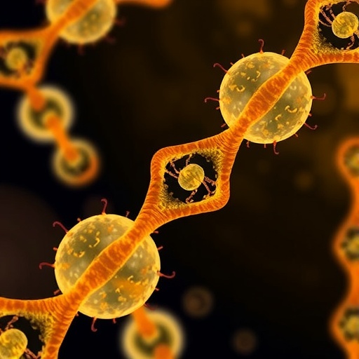 engineered-gel-cells-carry-artificial-dna-receptors-to-detect-and-treat-aflatoxin