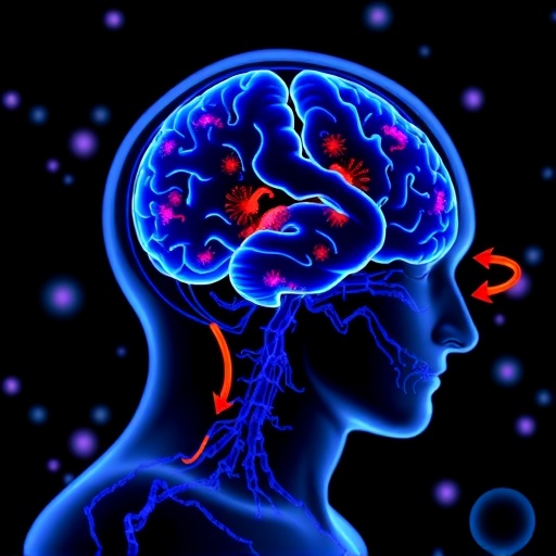 anti-cd320-autoantibodies-linked-to-cns-vitamin-b12-deficiency-in-myelopathy