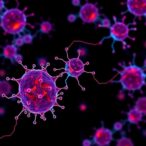 scientists-uncover-how-inflammatory-molecules-drive-cancer-progression