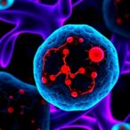 new-master-switch-linked-to-aggressive-breast-cancer;-drug-slows-tumour-growth
