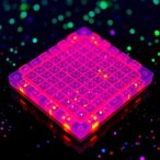 on-chip-terahertz-metasensor-enables-quantitative-identification-of-multiple-biomolecules