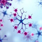 immune-stromal-biology-linked-to-neoadjuvant-radiotherapy-response-in-rectal-cancer