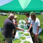 utia-hosts-southern-weed-science-society-weed-contest
