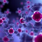 how-multi-omics-and-ai-could-reveal-why-blood-stem-cells-age