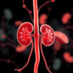 chronic-kidney-disease-in-women:-global-burden-and-metabolic-cardiovascular-connections