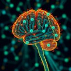 localized-recurrent-connections-control-neural-activity-dimensionality-across-brain-regions