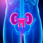 recurrent-cystitis-linked-to-urologic-cancer-risk-in-nationwide-study