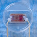 human-multi-organ-chip-offers-new-insight-into-cancer-metastasis