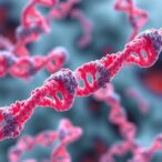 excess-rna-may-drain-cells’-energy,-study-finds