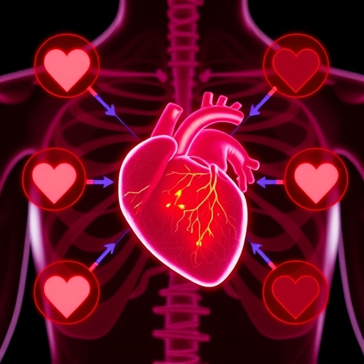 ai-tool-may-help-heart-attack-survivors-receive-personalized-care,-experts-say