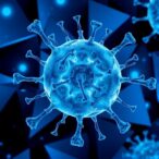 can-the-immune-system-learn-like-artificial-intelligence?