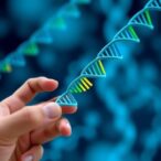 genetic-score-uncovers-type-1-diabetes-in-nearly-one-fifth-of-mody-referrals