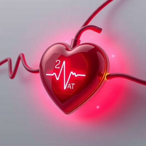 engineers-develop-self-powered-pacemaker-恒一