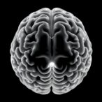 usc-research-shows-gray-and-white-matter-jointly-support-older-adults’-cognition