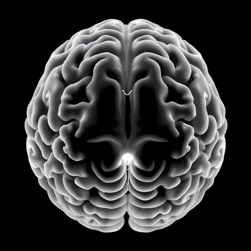 usc-research-shows-gray-and-white-matter-jointly-support-older-adults’-cognition