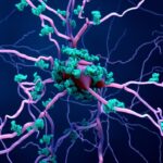 is-targeted-protein-degradation-the-“break”-neurology-needs?