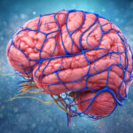 skull-immune-structures-may-provide-first-response-against-brain-cancer