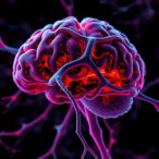 could-predatory-brain-immune-cells-be-destroying-nerve-cells-in-als?