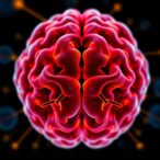 brain-barriers-shape-immune-surveillance-and-immunotherapy-responses-in-glioma