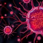 rewired-metabolism-in-zombie-like-cells-fuels-destructive-inflammation-during-aging