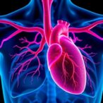 patent-ductus-arteriosus:-are-researchers-finally-asking-the-right-question?