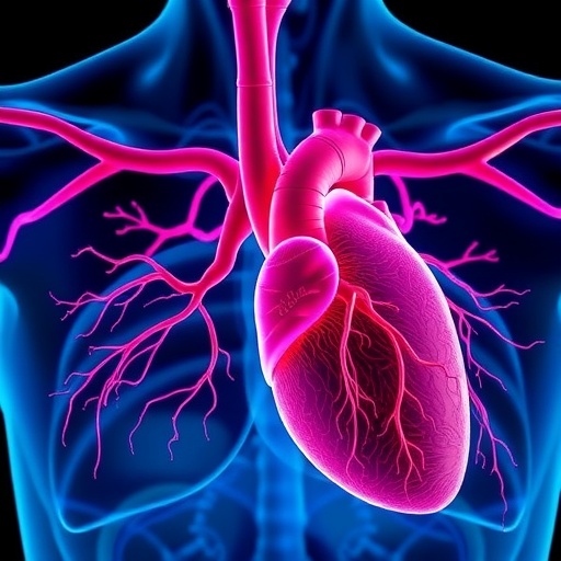 patent-ductus-arteriosus:-are-researchers-finally-asking-the-right-question?