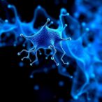 new-tool-reveals-hidden-patterns-in-complex-biological-data
