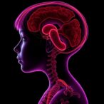 systematic-review-finds-dicer1-mutations-in-children-and-adolescents-with-thyroid-cancer