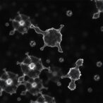 delayed-antiviral-response-in-alveolar-type-2-cells-heightens-influenza-susceptibility