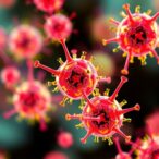 gpr52’s-role-in-breast-cancer-cell-organization-and-collective-invasion
