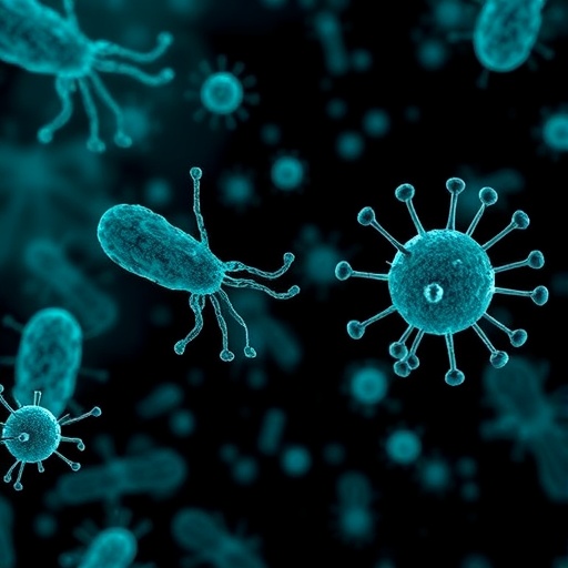 how-phages-target-hidden-intracellular-bacteria-behind-persistent-urinary-tract-infections