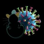 genomic-study-reveals-betacoronavirus-evolution-in-wild-mice-and-small-mammals