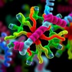 zcchc4-boosts-replication-dependent-histone-mrna-translation-by-interacting-with-eif3