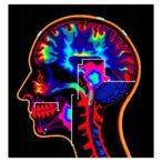 author-correction:-machine-learning-feature-analysis-classifies-fallers-with-parkinson’s-disease