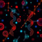 how-chromosomes-find-their-matching-partners