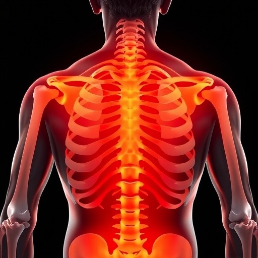 shoulders-bear-the-brunt-of-changes-in-bone-mineral-density
