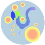 immune-cell-profiles-reveal-disease-mechanisms-in-children-with-iga-vasculitis,-thrombocytopenia